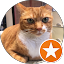 testimonials 04